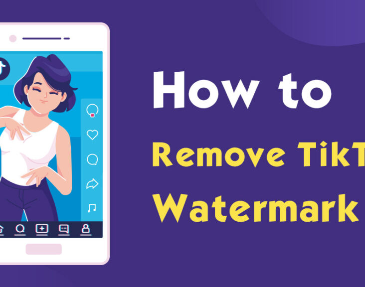 How to Remove the TikTok Watermark from the Video?