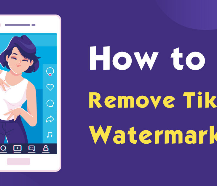 How to Remove the TikTok Watermark from the Video?