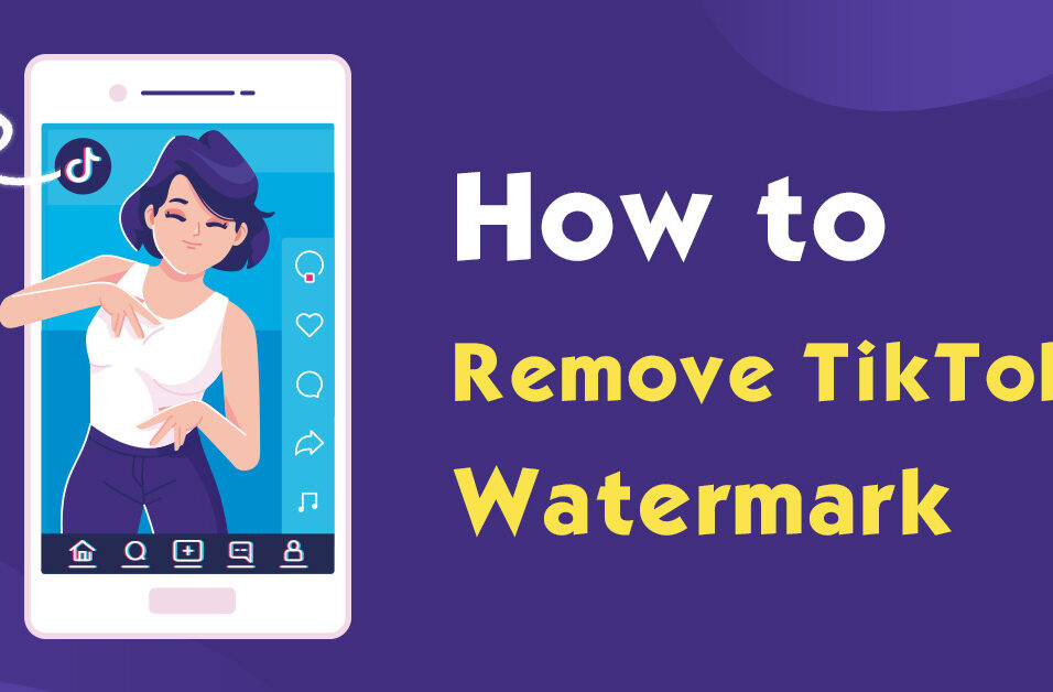 How to Remove the TikTok Watermark from the Video?