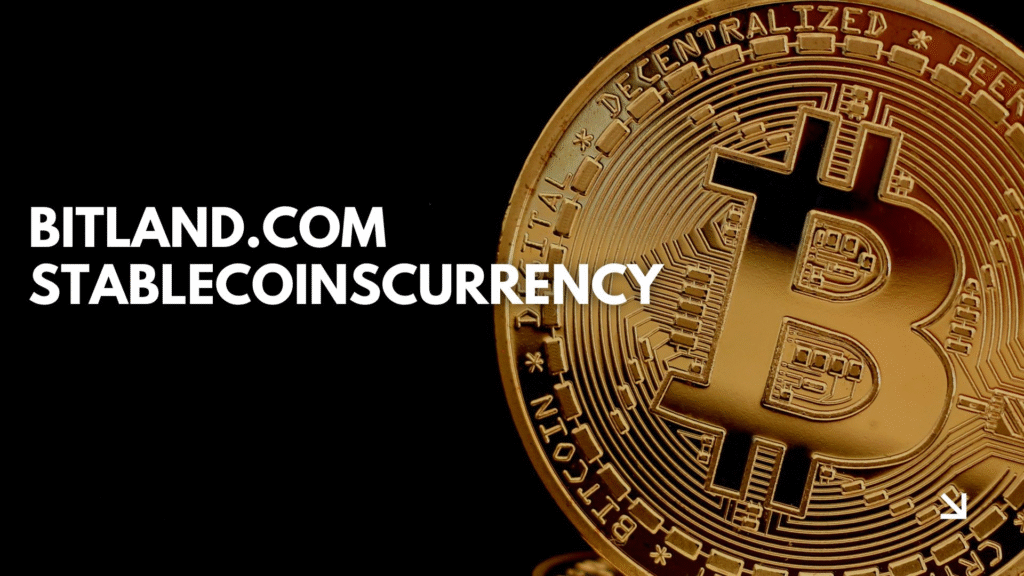 How Does biitland.com Crypto Work?